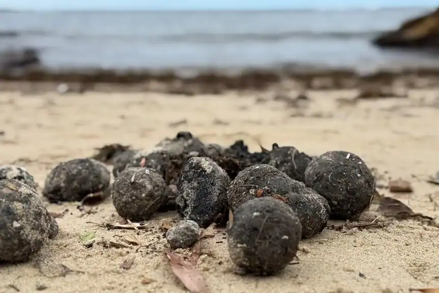 لغز الكرات السوداء بسيدني