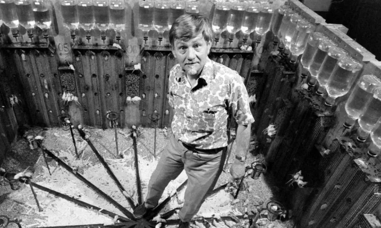 تجربة الكون 25