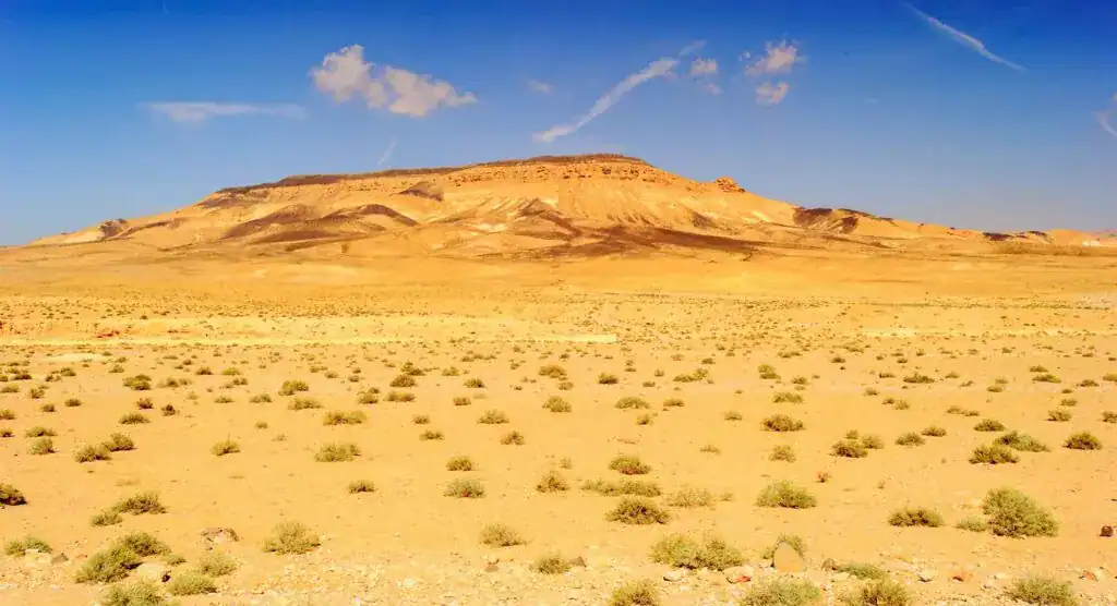 الصحراء السورية