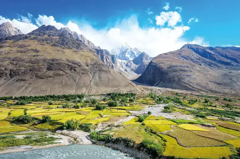 محميات العالم العربي