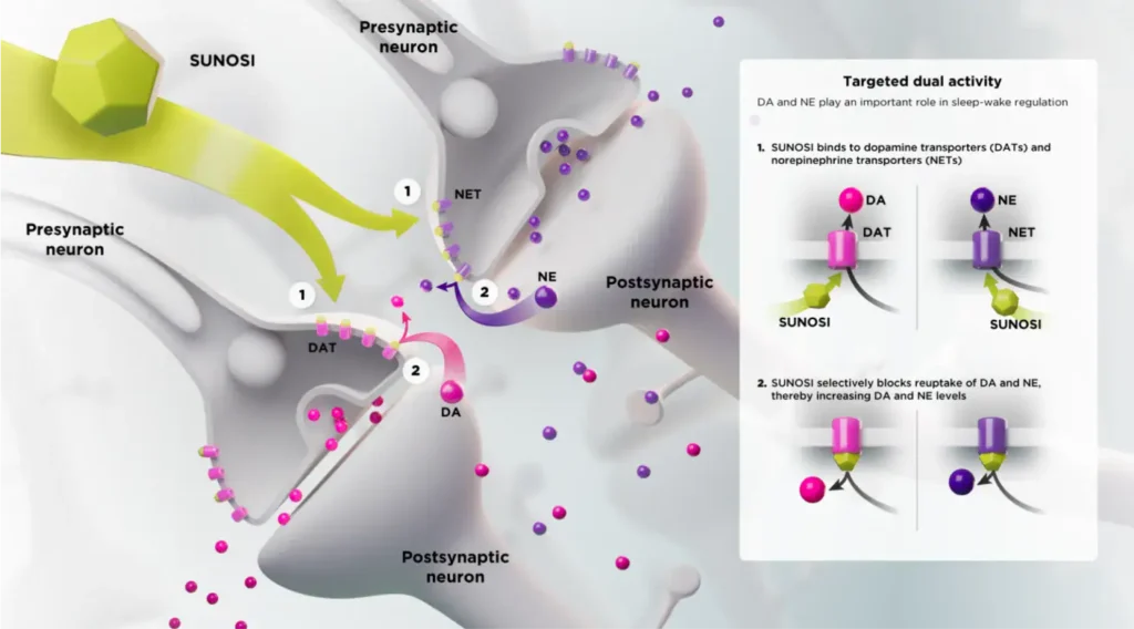 آلية عمل حبوب فقدان الشهية