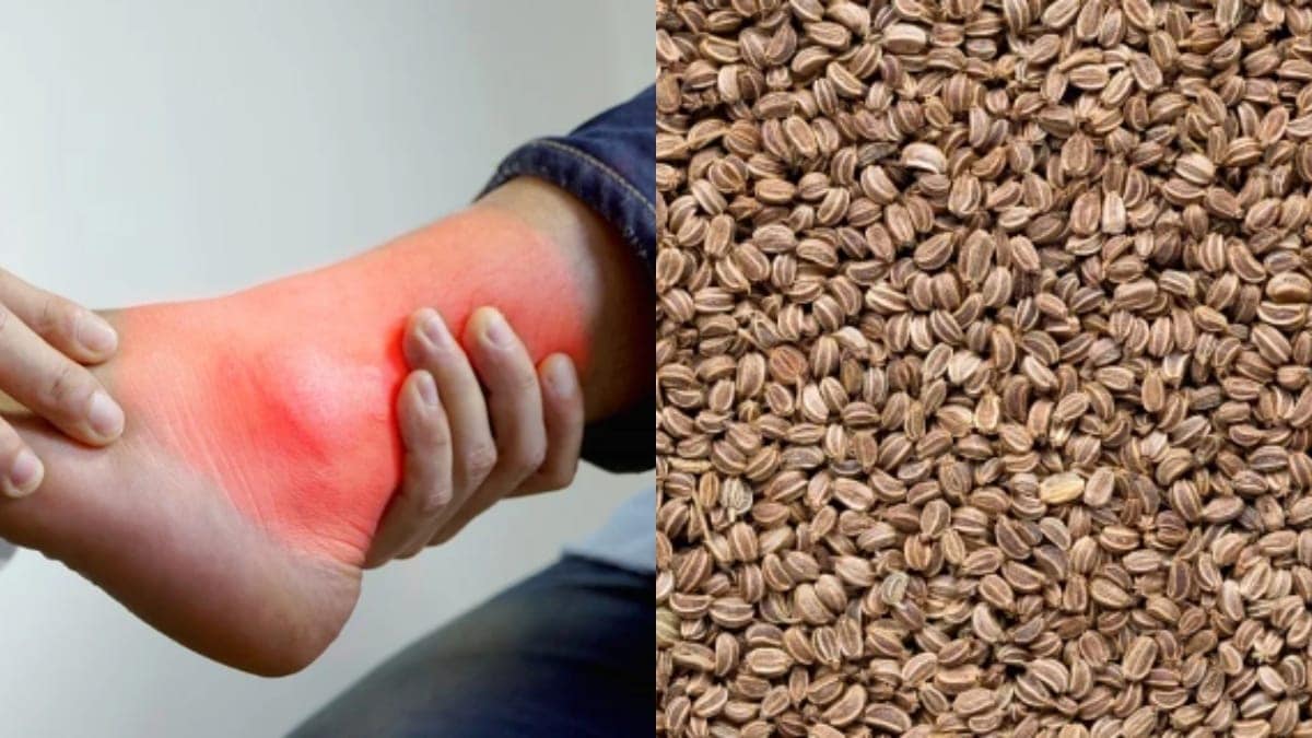 بذور الكرفس والنقرس