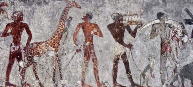 رحلة حتشبسوت إلى بلاد بونت