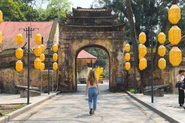 فرصة للسفر مجانا