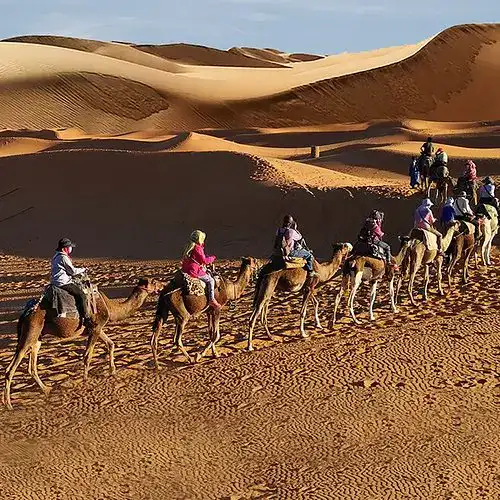 المغامرات في العالم العربي