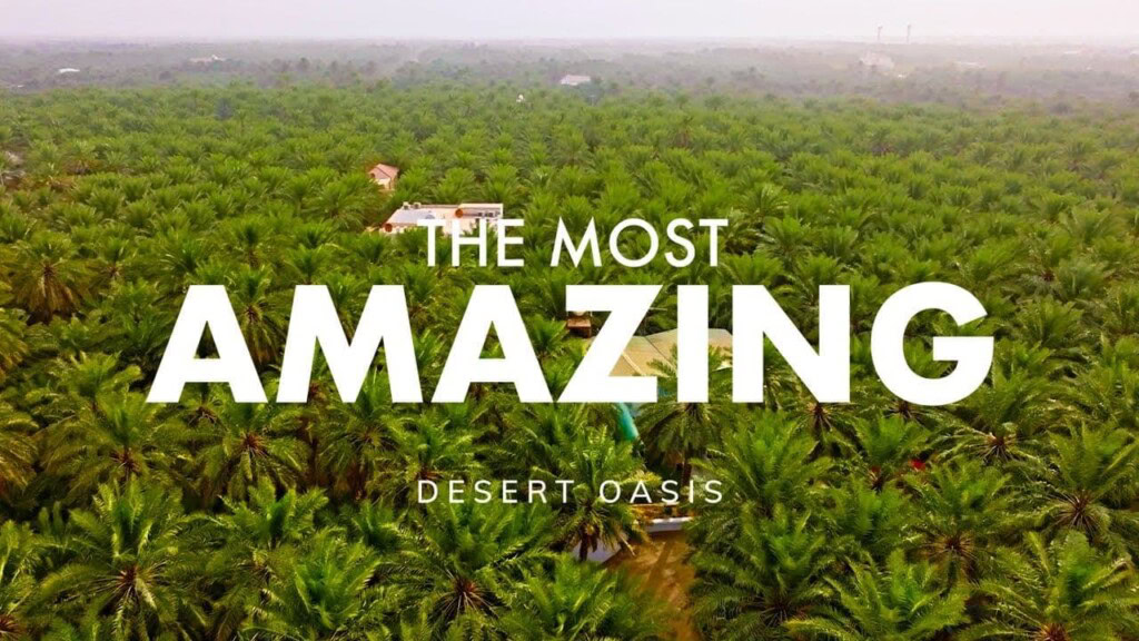  الخضراء في قلب صحراء المملكة العربية السعودية