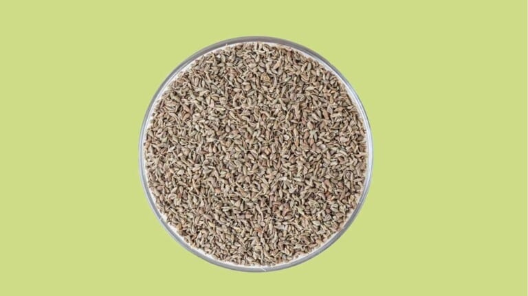 فوائد اليانسون الصحية كمشروب طبيعي يعالج العديد من المشكلات