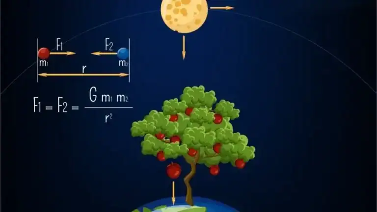 ما هو تعريف الجاذبية