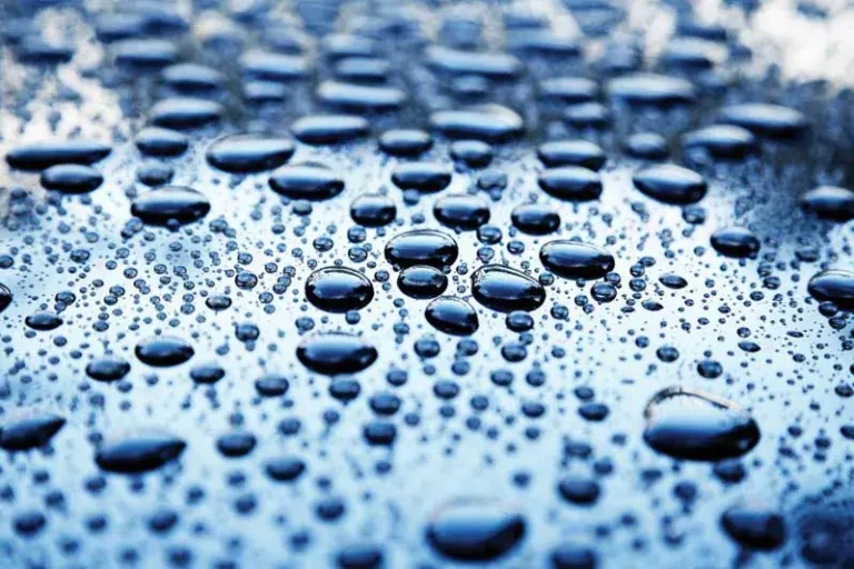 أحاديث نبوية عن الماء