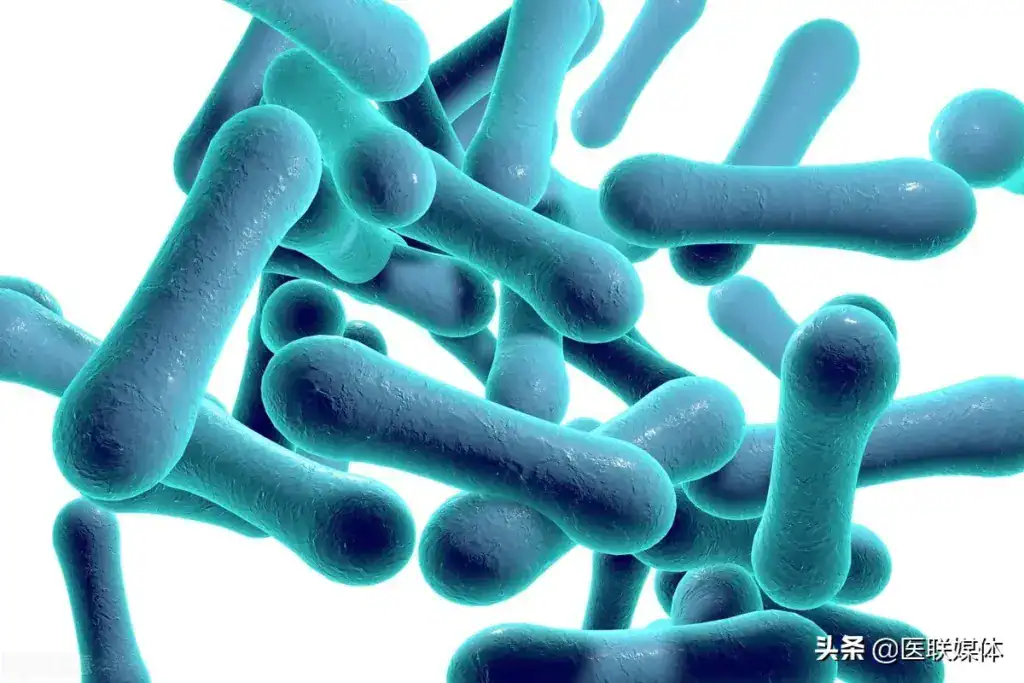 أخطر الأمراض المعدية