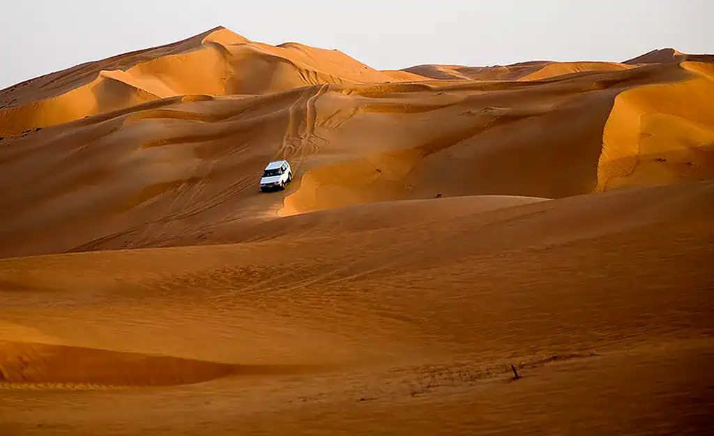 التنوع البيولوجي في عمان الصحراء العُمانية