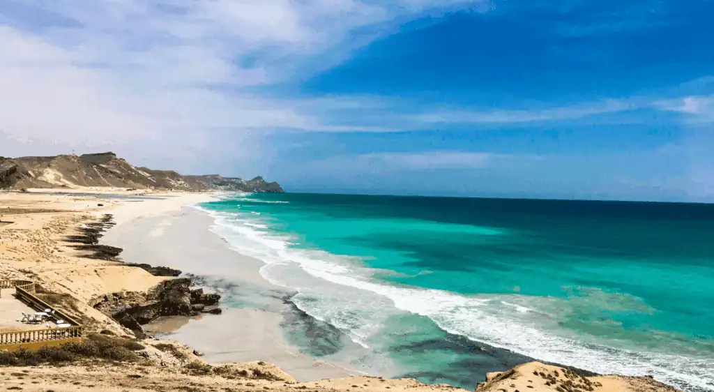 التنوع البيولوجي في عمان سواحل عُمان