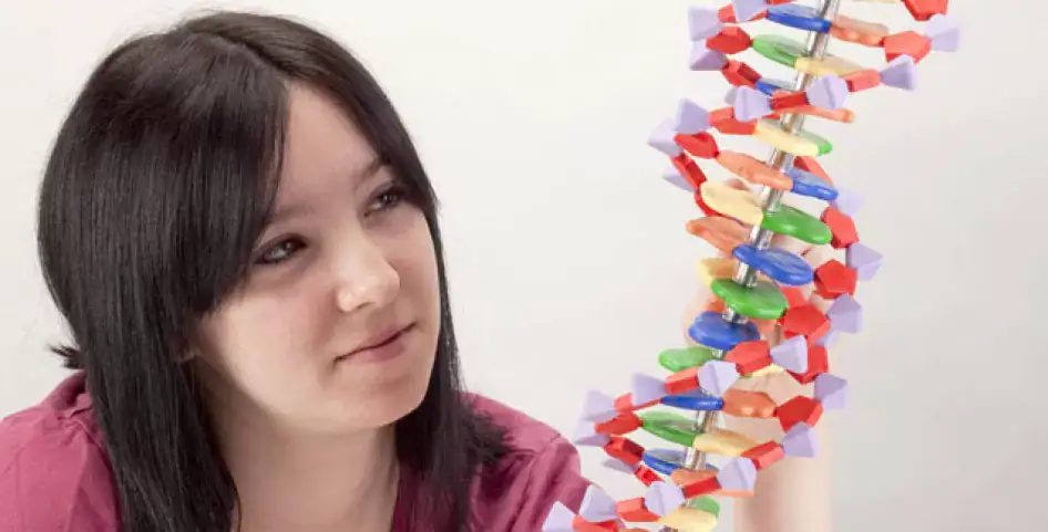 الجينات والحمض النووي في علم الوراثة البشرية