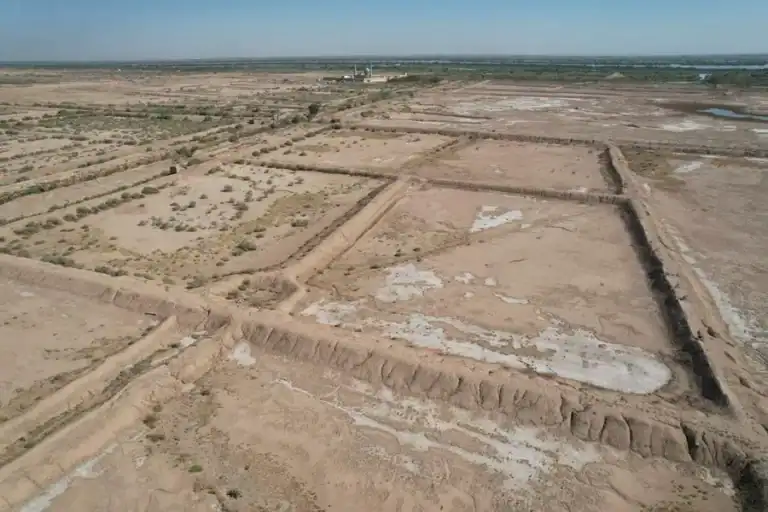 تأثير التصحر في العراق ومصر وأبرز أسبابه ونتائجه