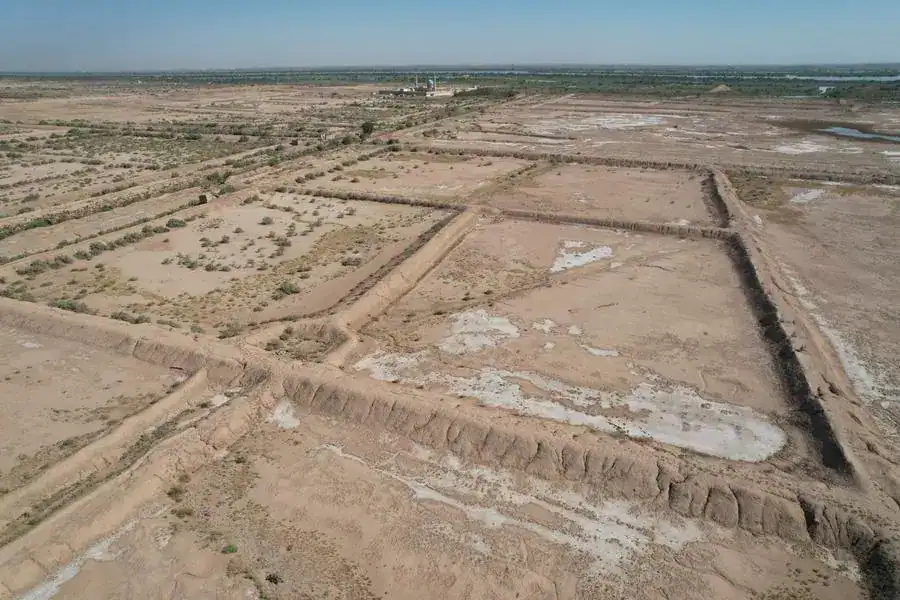 تأثير التصحر في العراق ومصر وأبرز أسبابه ونتائجه