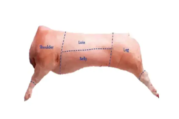 تحريم لحم الخنزير في الإسلام