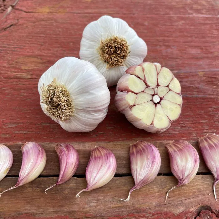 خصائص الثوم المضادة للالتهابات والبكتيريا - فوائد الثوم الصحية
