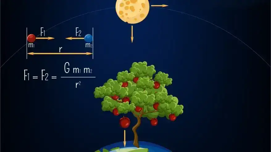 قانون الجاذبية الأرضية