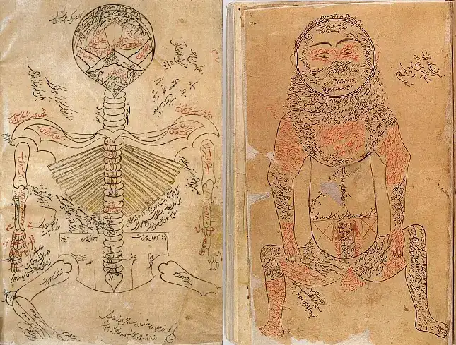 كتاب القانون في الطب ابن سينا