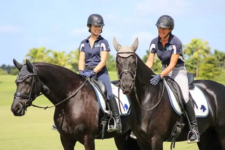 كيف يتم تربية الخيول