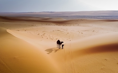 محمية نفود العريق