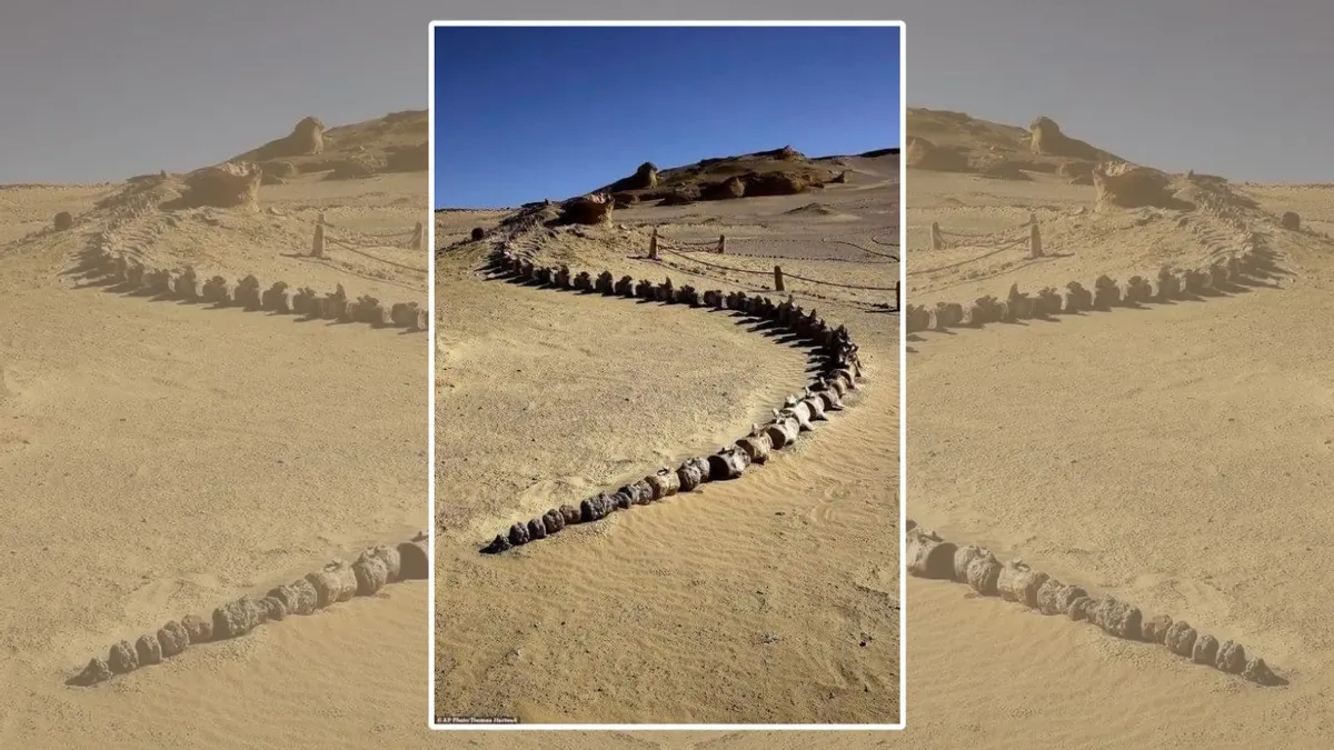 هيكل عظمي لحوت برمائي مكتشف في مصر
