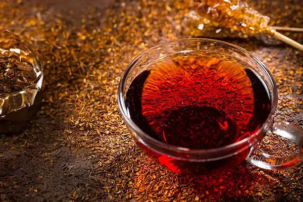 الشاي الأحمر (الرويبوس)