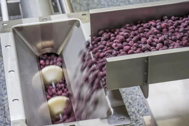 Industrial flash freezing of fresh fruit inside a factory to preserve nutrients