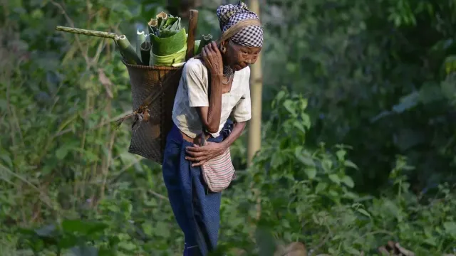 Forest protection and indigenous rights in India