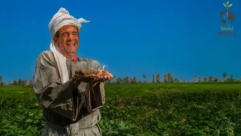 الزراعة في مصر