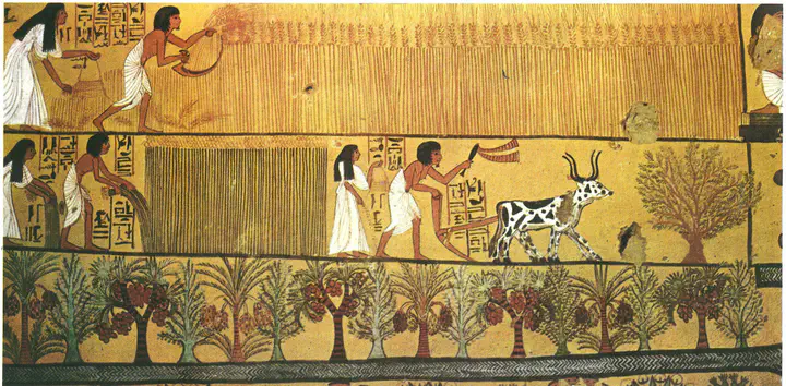 الزراعة في مصر القديمة عند الفراعنة