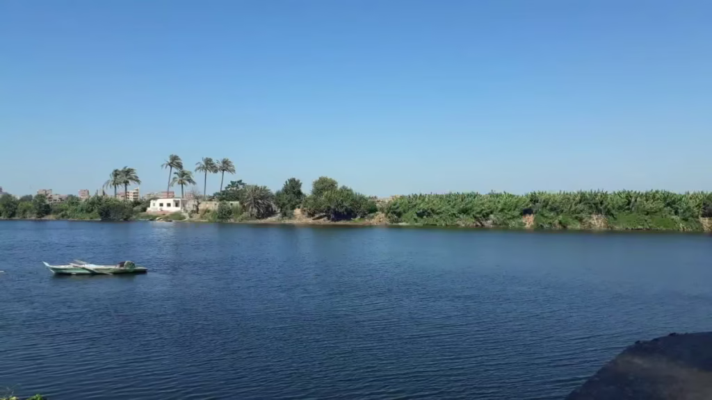 الزراعة في مصر خلال العصر الإسلامي