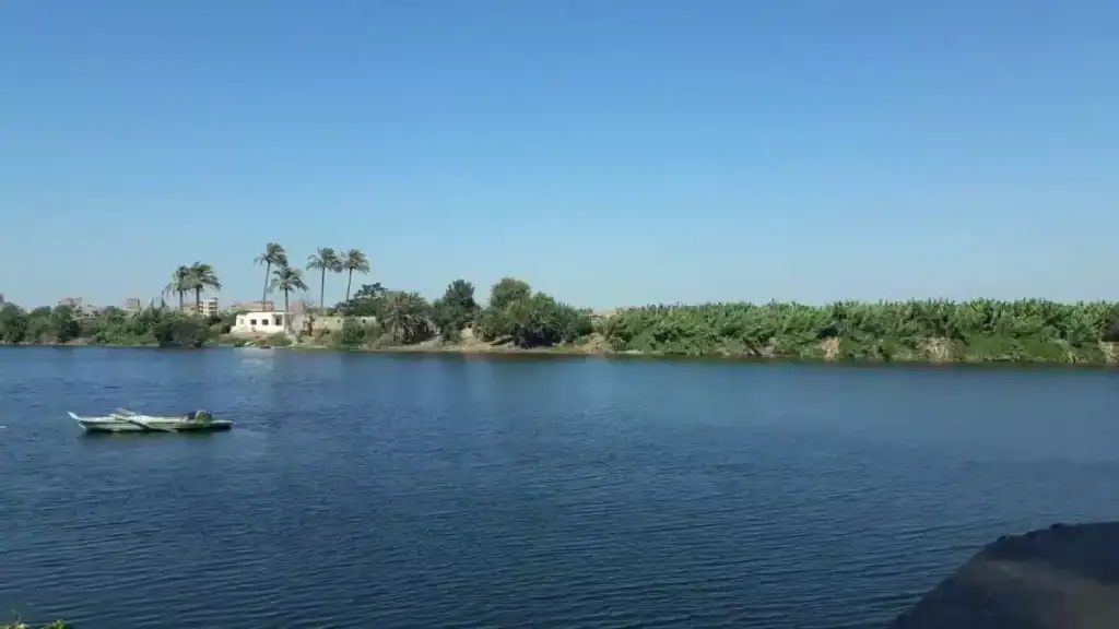 الزراعة في مصر خلال العصر الإسلامي