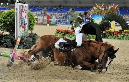 لماذا يُقتل الحصان عند كسر ساقه