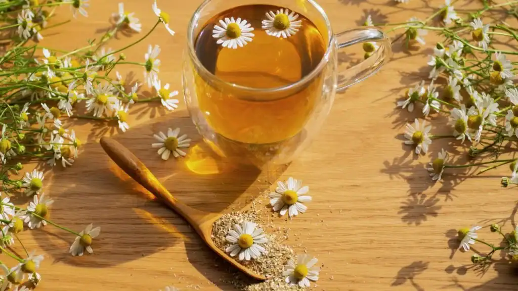 البابونج علاج حموضة المعدة