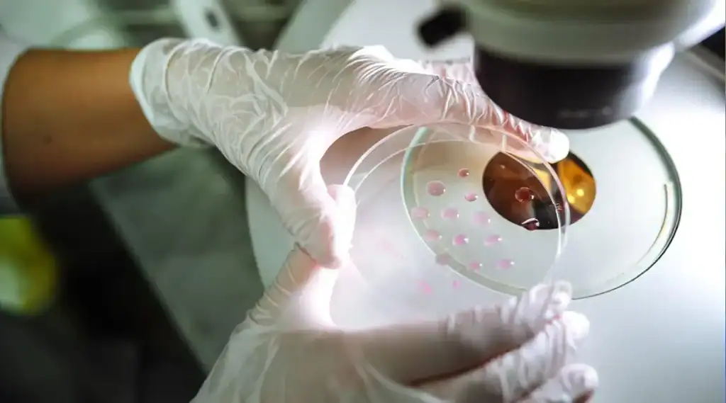 الخلايا الجذعية وتجديد الأنسجة - الابتكارات في علاج الأمراض المزمنة