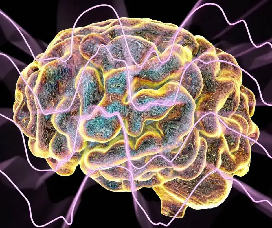 الدماغ وهو يرسل إشارة مفاجئة للعضلات أثناء بداية النوم