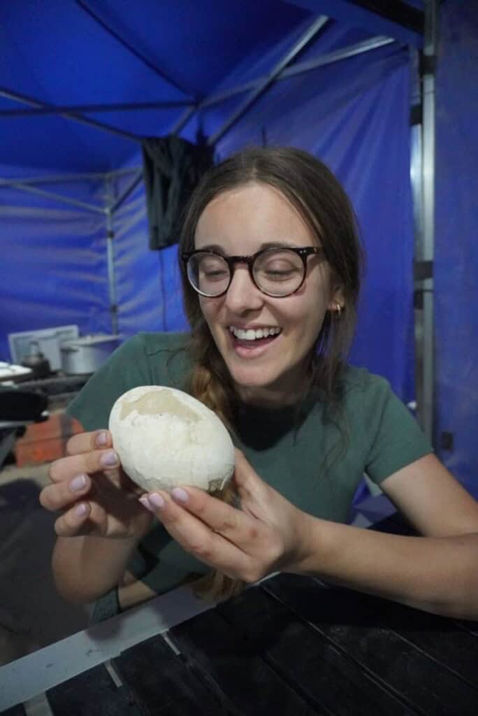 اكتشاف بيضة ديناصور عمرها 70 مليون سنة في الأرجنتين بحالة مذهلة