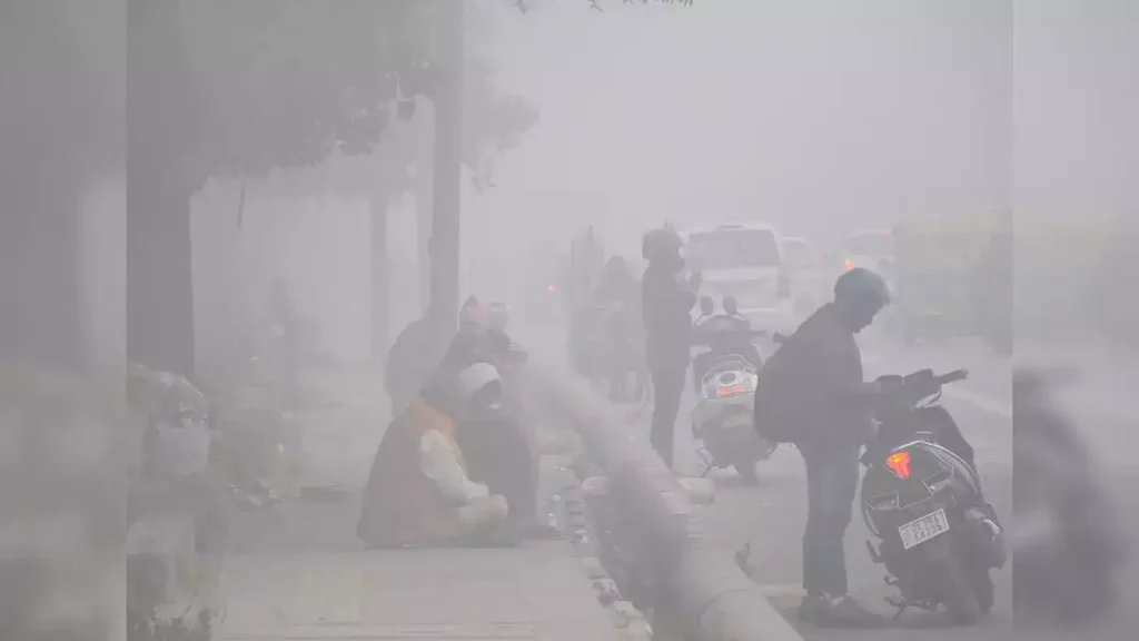 الفرق بين الضباب والشبورة