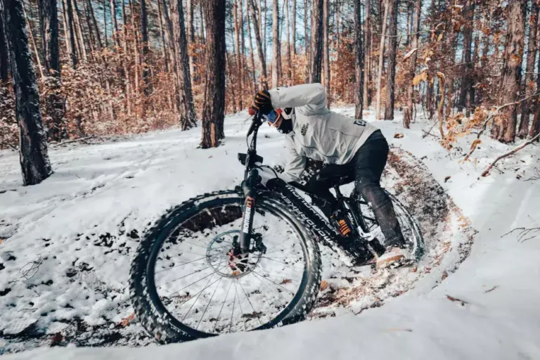 ركوب الدراجة الكهربائية بجبال الألب السويسرية