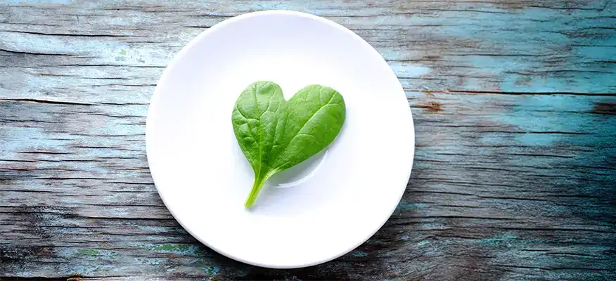 أفضل أعشاب لتقوية عضلة القلب