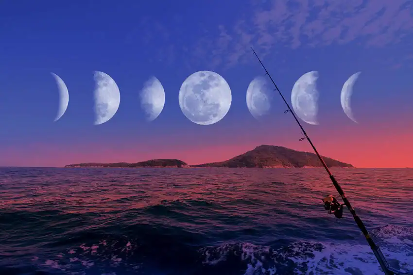 الصيد حسب القمر