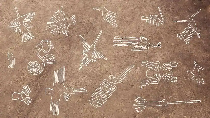 خطوط نازكا رسومات عملاقة في صحراء بيرو