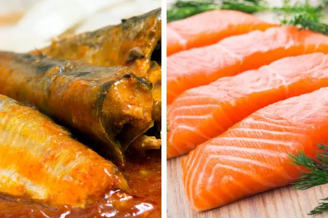 السلمون والسردين