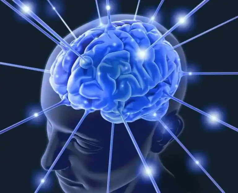 كيف يعمل الدماغ البشري