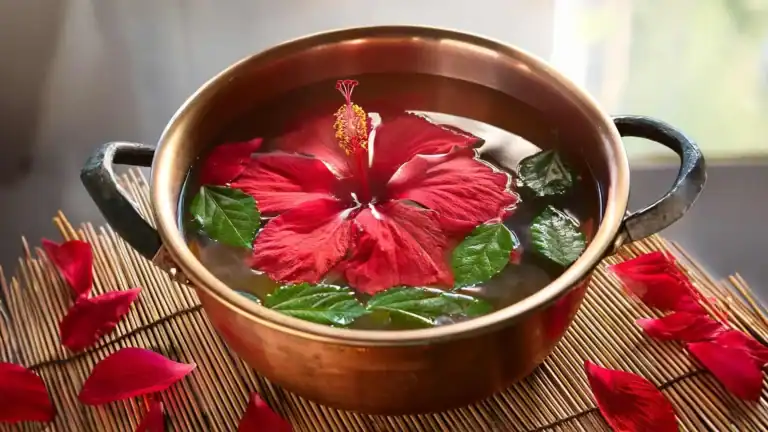 متى أفضل وقت لشرب الكركديه