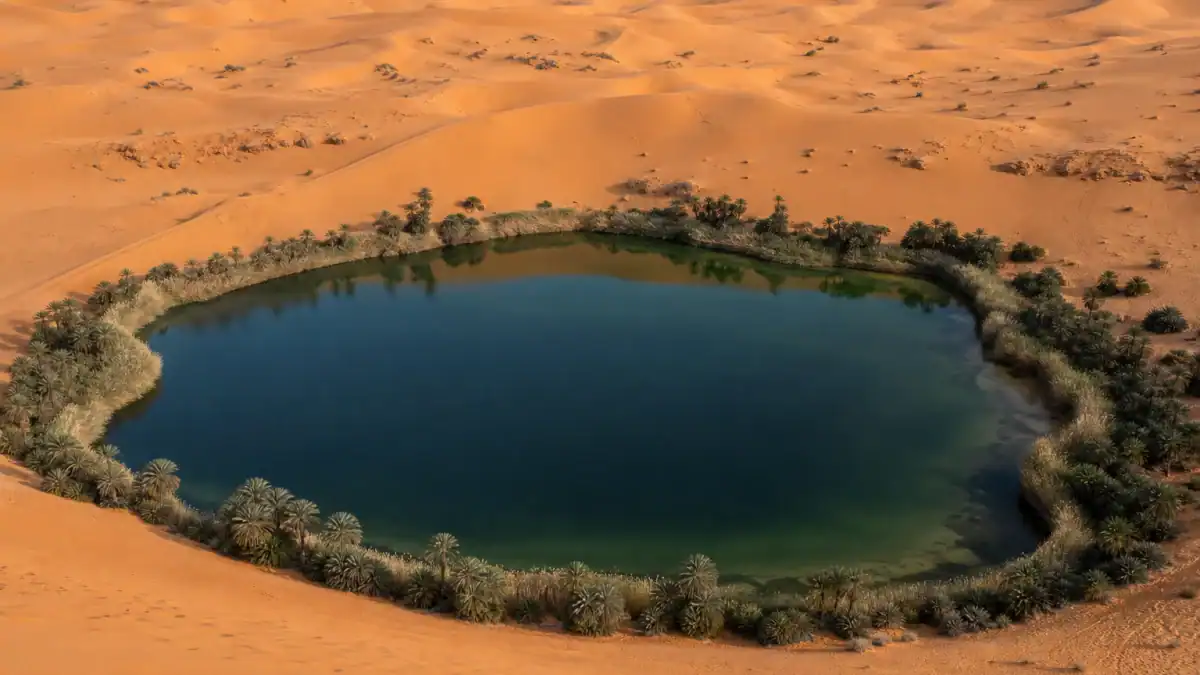 بحيرة صحراوية تحيط بها الكثبان والنخيل في بحر الرمال أوباري