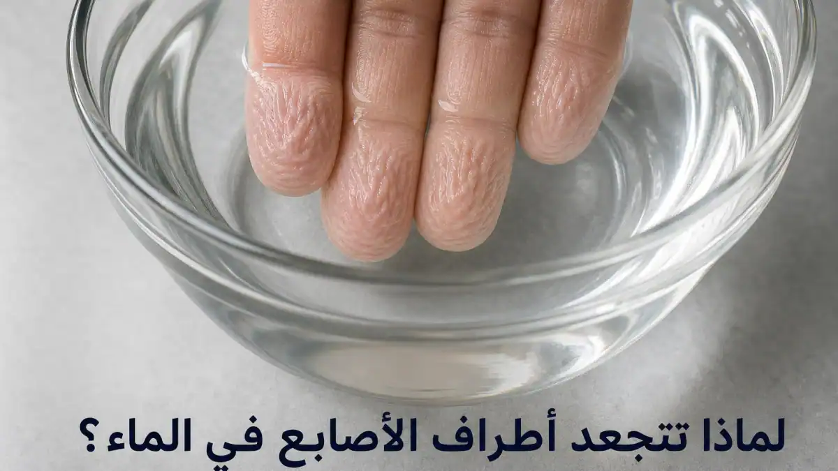 لقطة مقربة لأطراف أصابع متجعدة تحت الماء