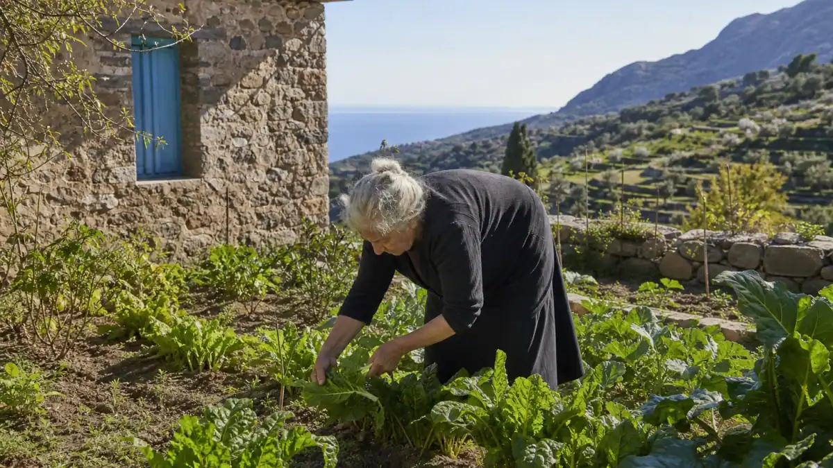 سيدة مسنة تعتني بحديقة خضار صغيرة في جزيرة إيكاريا