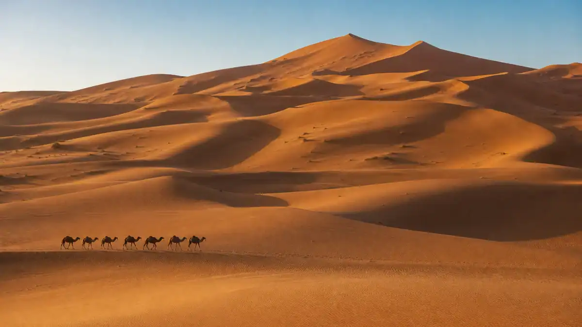 كثبان عرق الشبي الذهبية قرب مرزوكة عند شروق الشمس